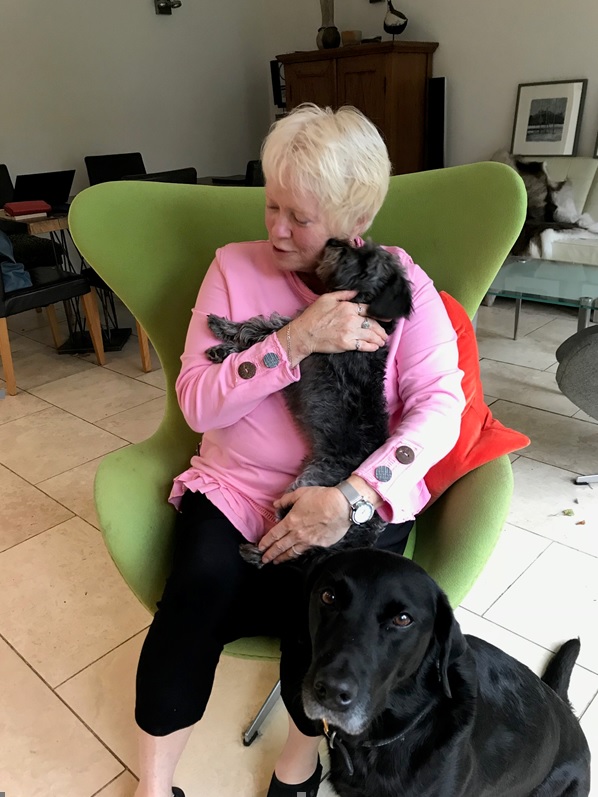 trusted petsitting services